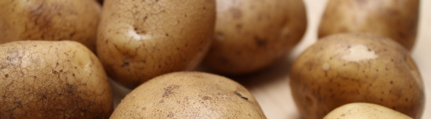  Českou škrobárnu podržel export do Číny, kde vyrábějí skleněné nudle 