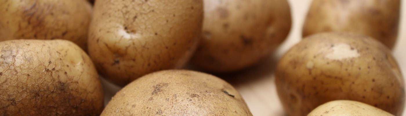 Českou škrobárnu podržel export do Číny, kde vyrábějí skleněné nudle