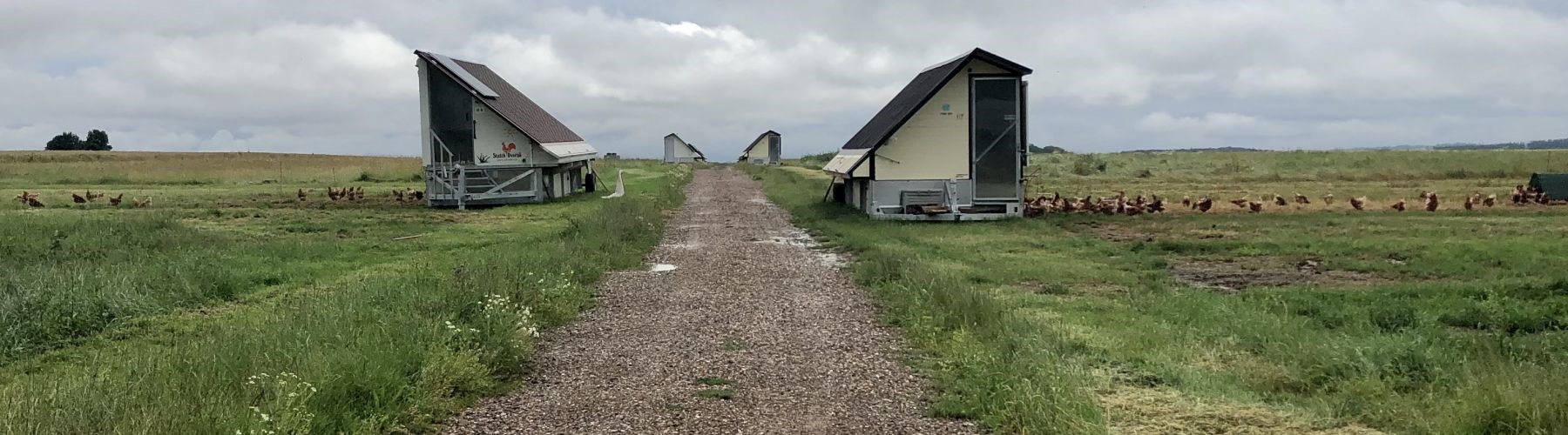  Lidé nakupují ve vejcomatech i ve tři ráno, když jdou z hospody 