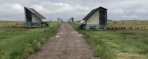  Lidé nakupují ve vejcomatech i ve tři ráno, když jdou z hospody 