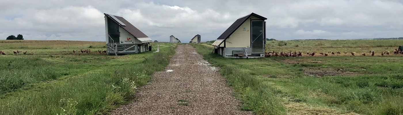 Lidé nakupují ve vejcomatech i ve tři ráno, když jdou z hospody