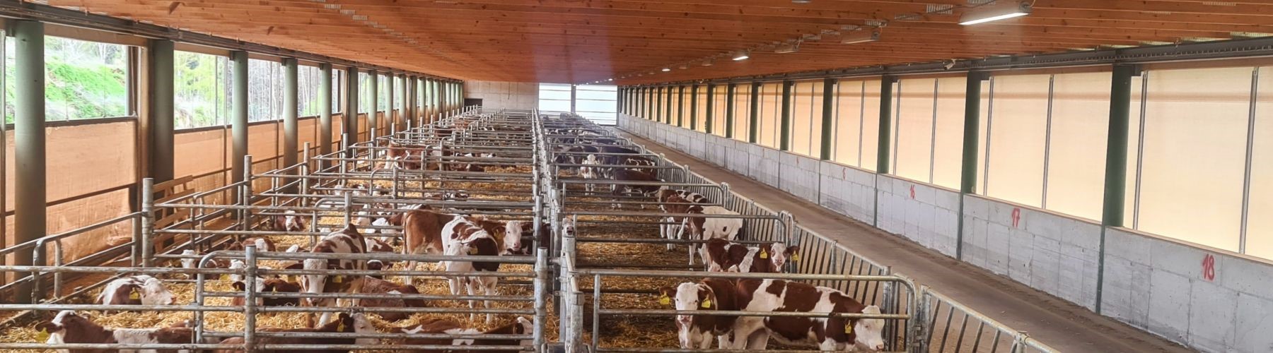  Ze tří farem jedna supermoderní. Podnik investoval 170 milionů korun 