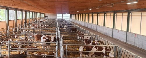  Ze tří farem jedna supermoderní. Podnik investoval 170 milionů korun 