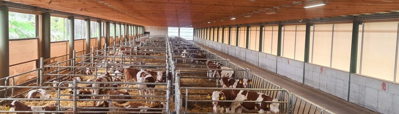 Ze tří farem jedna supermoderní. Podnik investoval 170 milionů korun