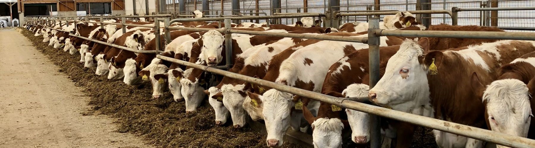  Zemědělství je nejkrásnější povolání, ale nedá se naučit 