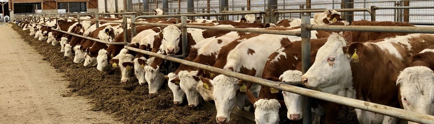 Zemědělství je nejkrásnější povolání, ale nedá se naučit