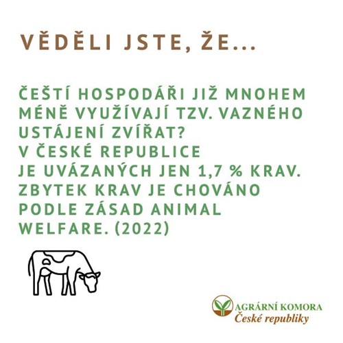 Vazné ustájení