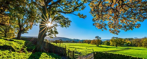 Agroturistika aneb Dovolená s dětmi jinak 