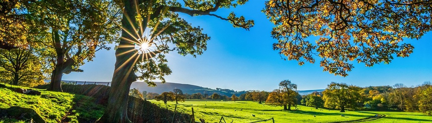 Agroturistika aneb Dovolená s dětmi jinak