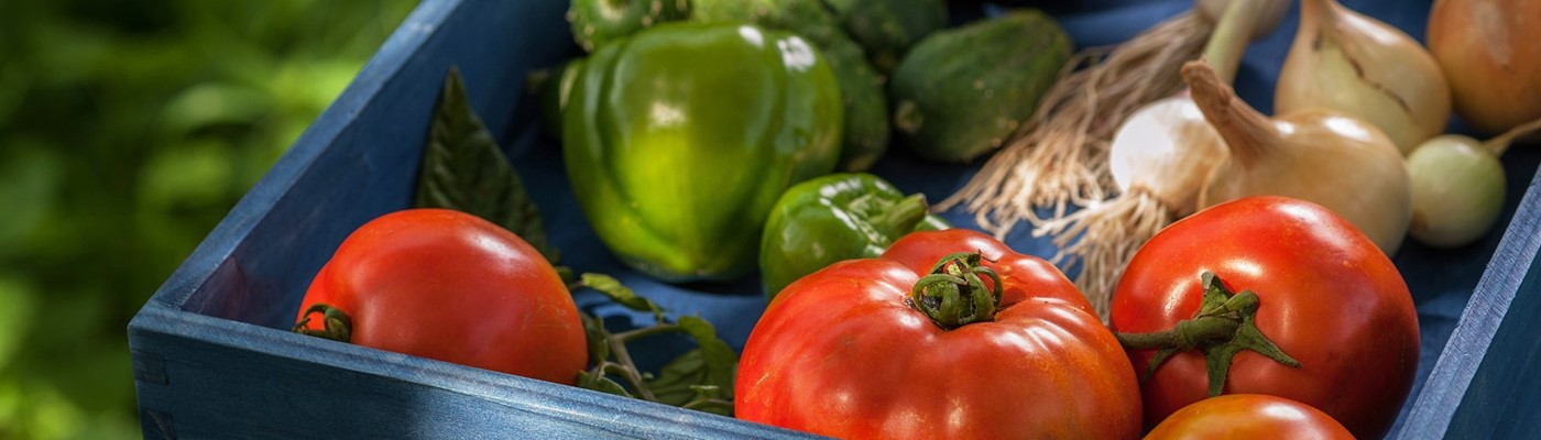 Lokální nákupy – snadná cesta k těm nejlepším potravinám