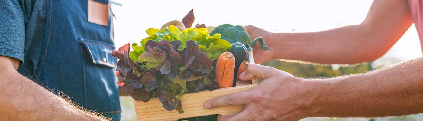 Sezónnost je záruka čerstvosti